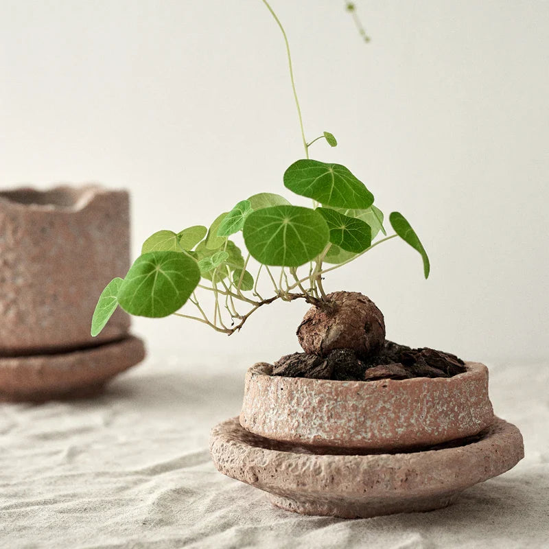 Vaso Decorativo Trevo | Henry