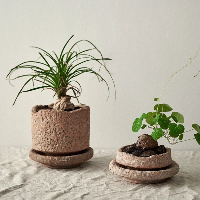 Vaso Decorativo Trevo | Henry