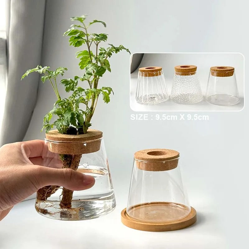 Vaso Decorativo de Vidro Hidropônico Vulcânico | Henry