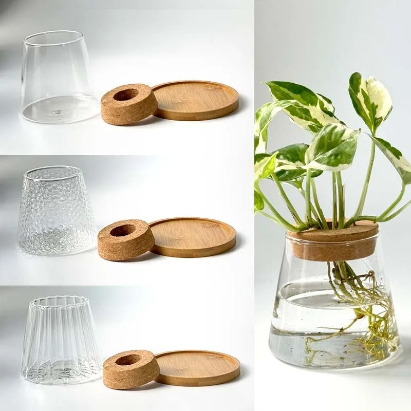 Vaso Decorativo de Vidro Hidropônico Vulcânico | Henry
