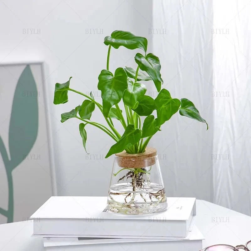 Vaso de Flores de Vidro Transparente - Estilo Vulcânico | Henry