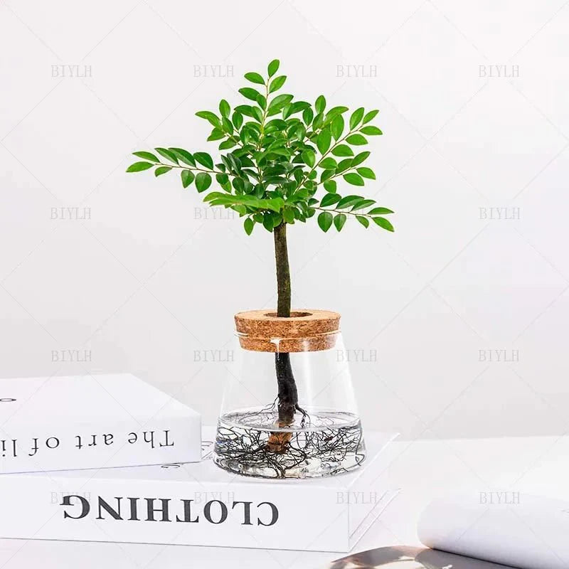 Vaso de Flores de Vidro Transparente - Estilo Vulcânico | Henry
