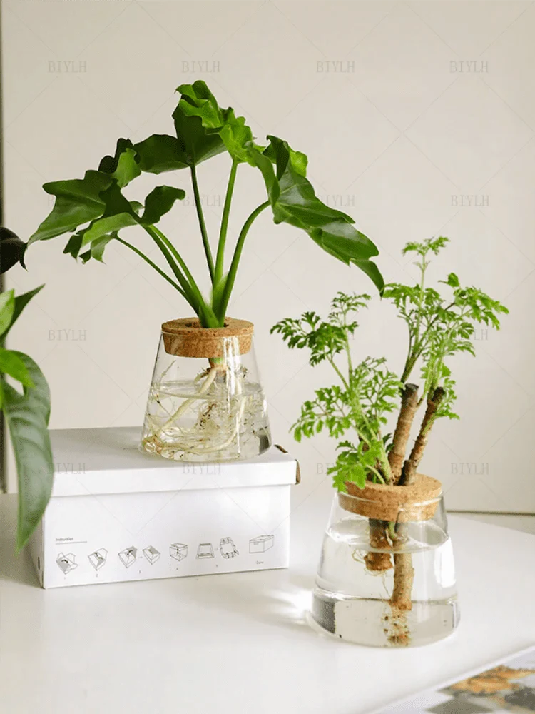 Vaso de Flores de Vidro Transparente - Estilo Vulcânico | Henry