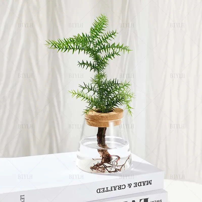 Vaso de Flores de Vidro Transparente - Estilo Vulcânico | Henry