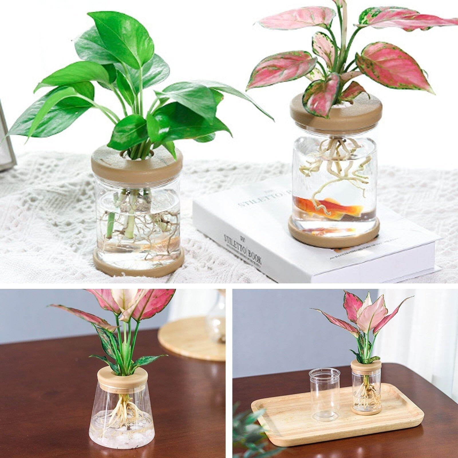 Vaso Hidroponia para Flores e Plantas - LOJAS HENRY SHOP