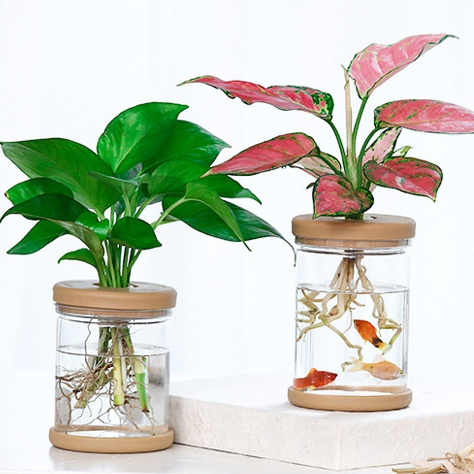 Vaso Hidroponia para Flores e Plantas - LOJAS HENRY SHOP