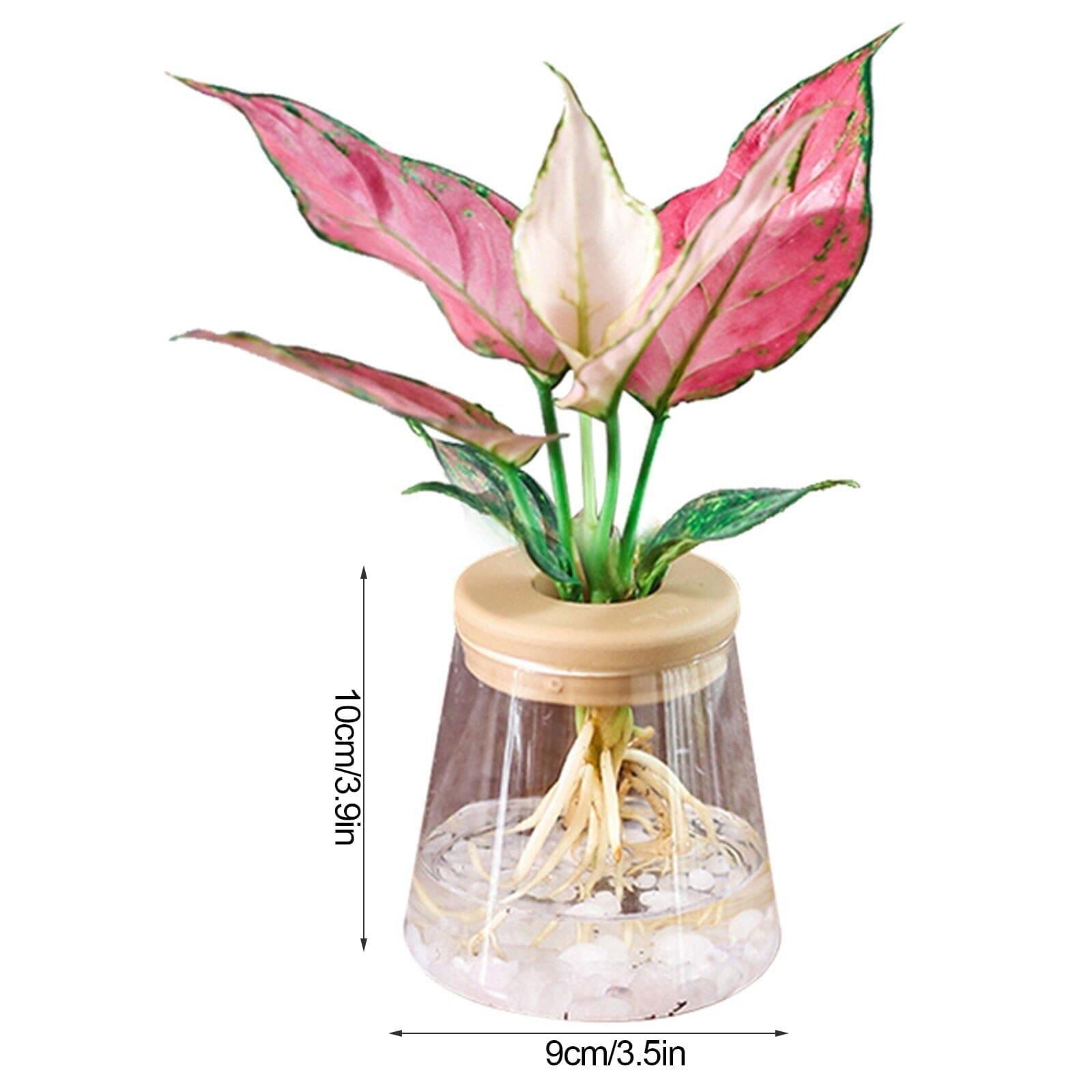 Vaso Hidroponia para Flores e Plantas - LOJAS HENRY SHOP