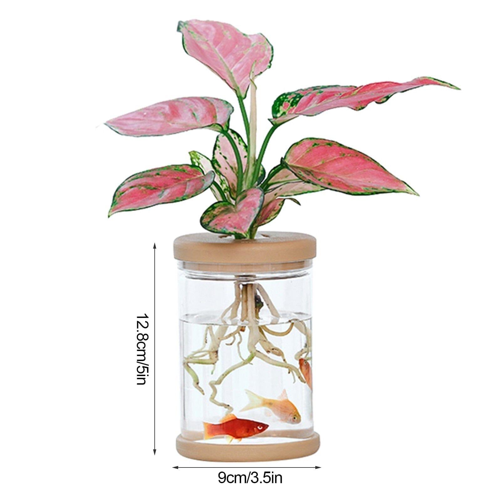 Vaso Hidroponia para Flores e Plantas - LOJAS HENRY SHOP